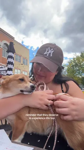 love getting to experience life with my favorite girl 🌸 #girlythings #lifeinyour20s #corgisoftiktok #corgipuppy 