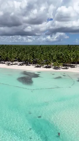 Saona Island 🏝️ 🇩🇴#dominicanrepublic #puntacana #islasaona 