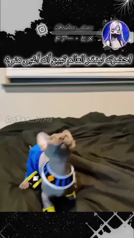 #هههههههههههههههههههههههههههههههههههههه #بيروس_ساما #دراغون_بول_سوبر #انمي #فلسطين_لبنان_سوريا_اليمن_مورتانيا #fyyyyyyyyyyyyyyyy #اكسبلور