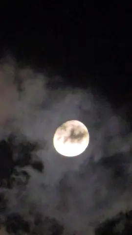 #livehighlights #10000kولايكات #اكسبلورexplore #tiktoklive 