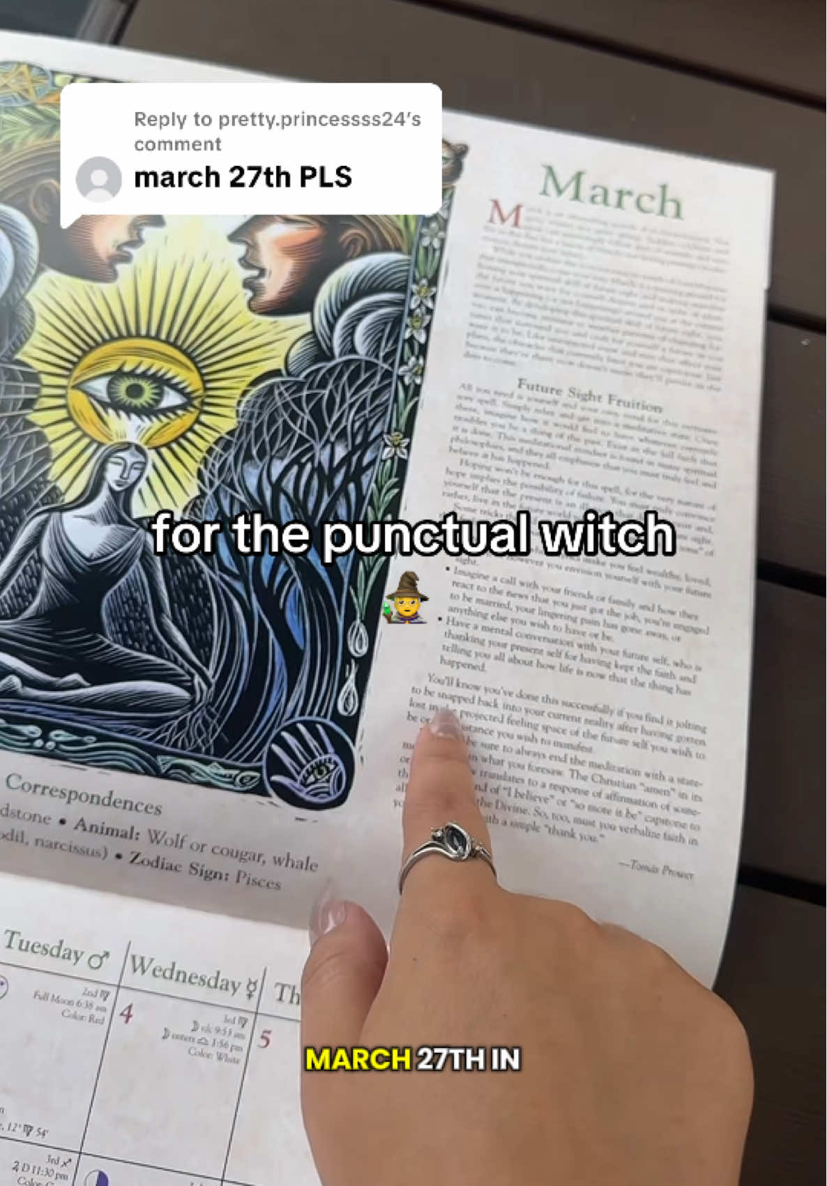 Replying to @pretty.princessss24 the punctual witches always get the witches calendar! #witchtok #witchesoftiktok #witchcalendar #tiktokshopcreatorpicks 