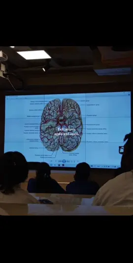 Never gets old #neuroscience #neurosurgery #medicine #fallinlove #fyp 