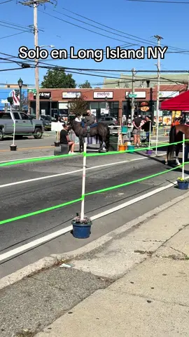 Que bello #longislandnewyork #usa🇺🇸 #vestival #newyork #longisladnewyork 