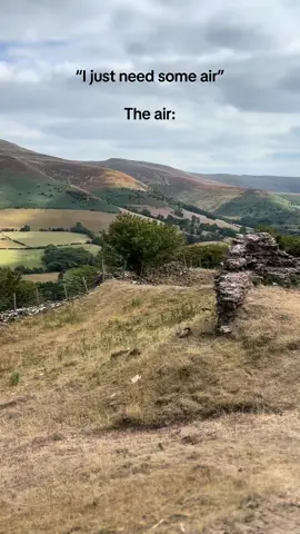 Wales 🩷
