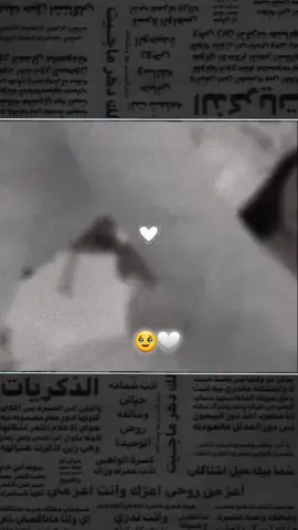 حسب الطلب …🥲🤦🏻‍♀️ #اطلبوا_وتدللون🦋🧸 