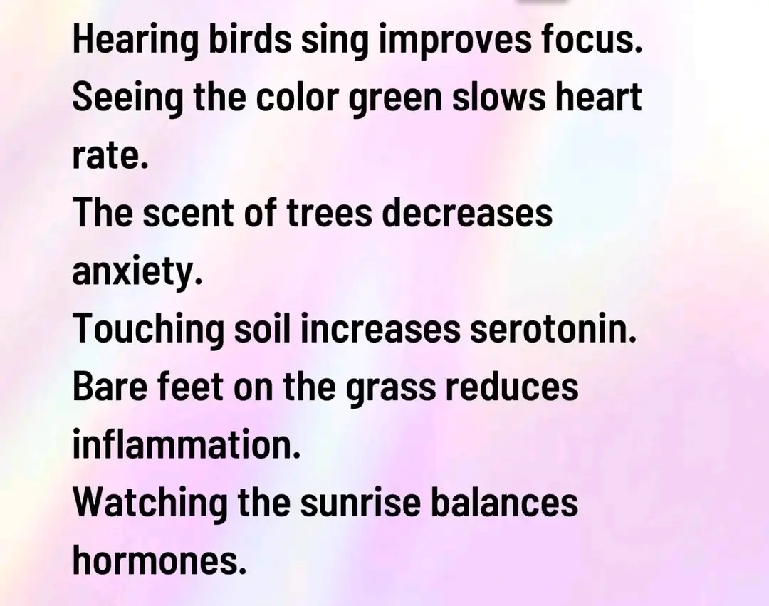 Nature is amazing.Throughout history, people have turned to nature for solace, restoration, and spiritual renewal. Scientific research now supports this intuitive understanding, demonstrating that contact with the natural world can lower stress, boost mood, and improve physical health. From a walk in a local park to an immersive wilderness retreat, nature offers a powerful, accessible balm for the body and mind. #foryourpage #nature #healing #foryoupage #fyp