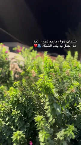 #صلاح_الدين_تكريت #العلم #الشركاط_شارع_الاطباء_مجمع_السكنيه #بصره_بغداد_ميسان_ذي_قار_كل_المحافظات 