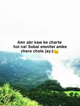 Amr abr kaw ke charte hoi na! Sobai emnitei amke chere chole jay:)🫠 #foryou #foryoupage #unfrezzmyac  