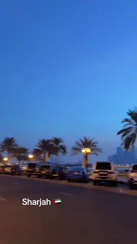 #الامارات_العربية_المتحده🇦🇪 #foryoupag 