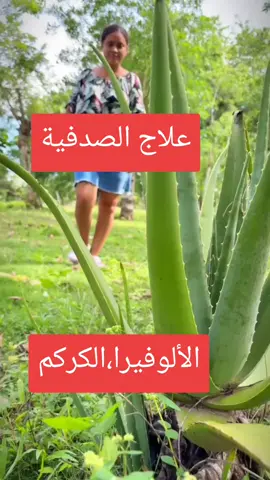 وصفة علاج الصدفية الجلدية  الدهون التلاتية الكبد@الطب البديل @الطب البديل  #creatorinsights #creator #tiktoktips #hashtags #creatorrevolution 