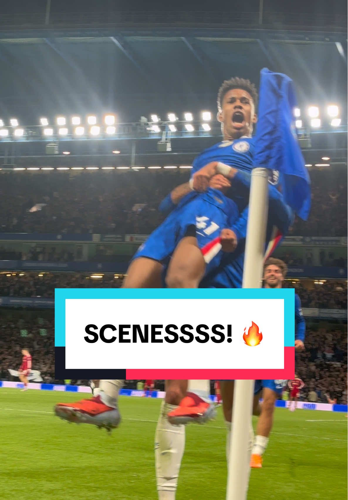 Pitchside scenes! 🔥 #ChelseaFC #CFC #PremierLeague 