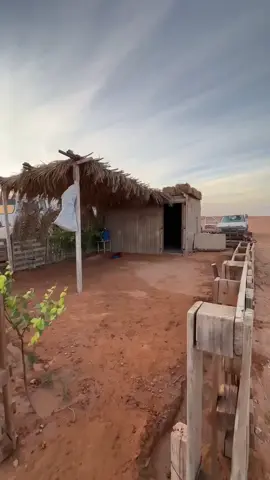 #فرايس#زليتن#براري#ليبيا_طرابلس_مصر_تونس_المغرب_الخليج 