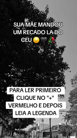 Às vezes, eu sei que você sente que a minha ausência deixa um vazio impossível de preencher, como se estivesse navegando sozinho em um oceano imenso. Mas quero que saiba algo importante: eu nunca deixei de estar ao seu lado. Estou aqui, em cada respiro, compartilhando suas alegrias e aliviando suas dores, mesmo quando você não me percebe. Hoje, mais do que nunca, senti que precisava falar com você. Você se lembra daqueles instantes de cumplicidade que pareciam parar o tempo? Esses momentos ainda vivem em mim, cheios de amor e gratidão. Quando um riso inesperado escapa dos seus lábios ou uma lembrança quente te envolve, sou eu, te lembrando que você não está sozinho. Minha paz agora é plena, e tudo o que desejo é que você encontre a sua. Estive com você nos seus dias mais difíceis, nas noites cheias de perguntas. Quero que saiba que não há nada que você precise se culpar. Você deu tudo de si, e o que vivemos juntos foi mais do que suficiente. Nosso vínculo continua intacto, além deste mundo e do tempo. Quero que continue sonhando, que confie em si mesmo como eu sempre confiei. Não deixe que o medo te paralise. Estou com você, celebrando suas conquistas e te incentivando a cada passo. Grandes coisas te esperam, e estarei lá em cada uma delas, como sempre estive. Mesmo que deseje me ver ou me ouvir mais uma vez, estou em cada detalhe que te traz paz: um amanhecer, uma canção, uma brisa. Quando precisar de calma, feche os olhos. Estou com você, te sustentando. Nunca se esqueça disso: eu te amo. O nosso amor transcende tudo. Viva com coragem, porque eu estou ao seu lado, sempre. #mensagem  #amoreterno  #conexãoespiritual  #mae  #luto 