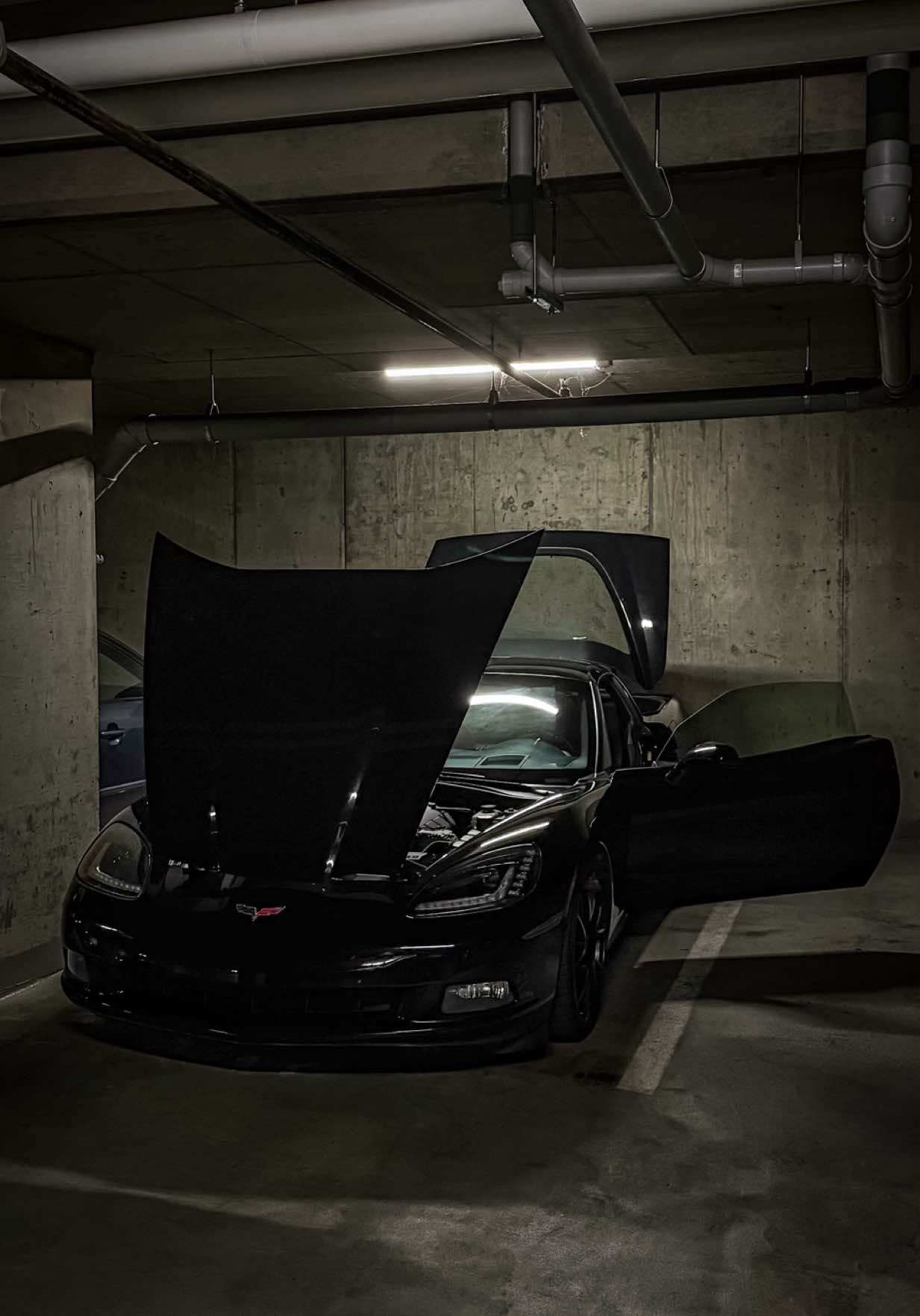Should I lower it more? #civic #honda #corvette #cars 