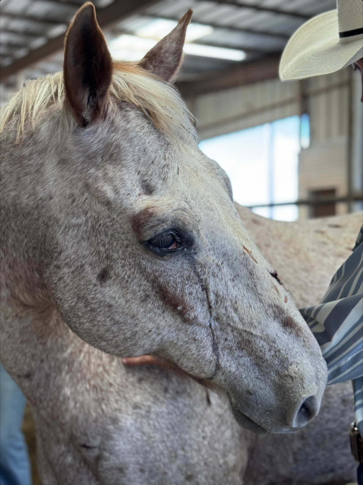 When all you can do is listen in a place of chaos…  Savanah saw the blind tag in the distance and we immediately went over and he quickly stole our hearts. ❤️‍🩹 We have named him Charlie Brown. (We will have to explain that story at another time) Please donate to this sweet man if you can. 