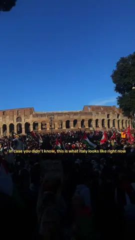 we SHUT DOWN a whole country for two weeks, but the newspapers aren’t talking about it #freepalestine #italy #rome #protest #freegaza 