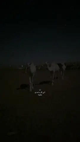 #عبدالله_السالم 