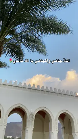 صدقة جارية 🤍#صدقة_جارية #اكسبلور #قران #اكسبلور #جنات_عدن_التى_وعد_الرحمن 