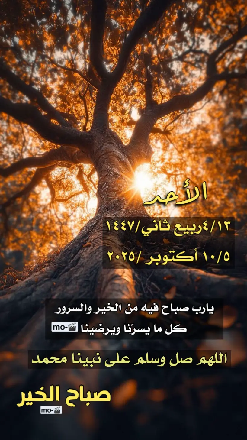 #ترند #صباح_الخير #اكسبلور #الجوف_طبرجل_القريات #ترندات_تيك_توك #قران_كريم #طبرجل_القريات_تبوك #ترند_تيك_توك_مشاهير 
