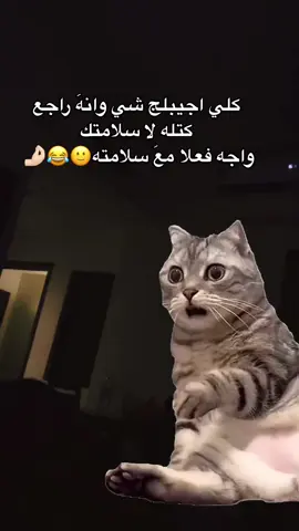 لحد هسه مصدومه🙂#اكسبلور #yyyyyyyyyyyyyyyyyy #الشعب_الصيني_ماله_حل😂😂 #مالي_خلق_احط_هاشتاقات 