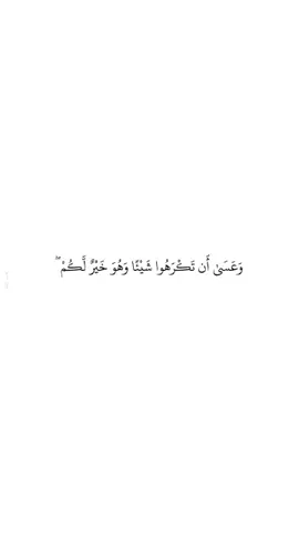 #استغفر_الله #لا_إله_إلا_الله_محمد_رسول_الله #سبحان_الله_وبحمده_سبحان_الله_العظيم 