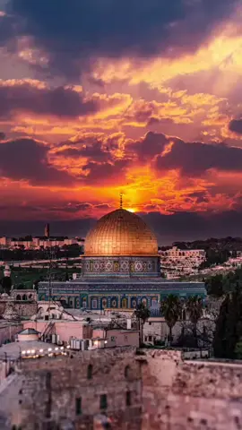 #ዓቂብ #islamic_video #foryoupage #viral 