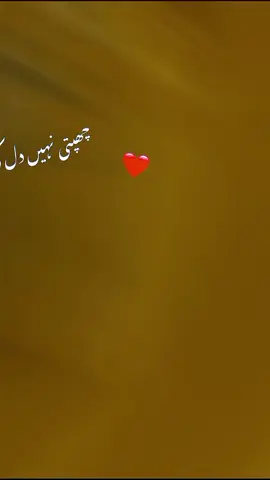 #CapCut @🧿🇩🇪اسما 🌹🇦🇫 @🇦🇫سحر 🦅 @🌹A🌹zehra🌹A🌹 