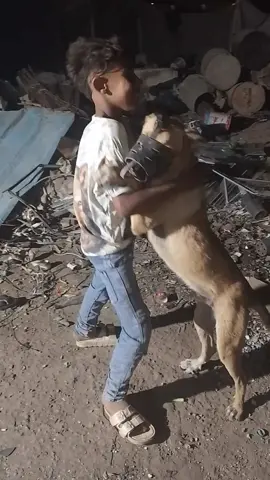 #fyp #fyp #viral #forvou #forvoupage 