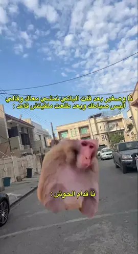 #CapCut #🤣🤣🤣🤣  #الشعب_الصيني_ماله_حل😂😂 #مالي_خلق_احط_هاشتاقات🧢 #fyp 