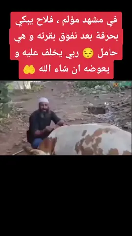 😢😢😢  #explore #jaime #abonne #fyp #viral_video 