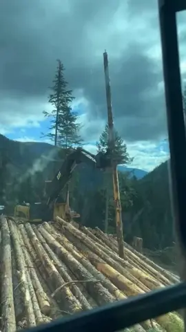 I need an adultier adult!! #jokes #react #humor #comedy #joke 