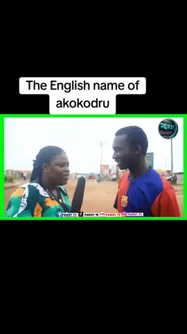 the English name of akokodru