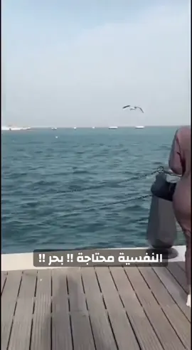 #العراق #لايك_متابعه_اكسبلور #اكسبلور #اربيل #مشاهير_تيك_توك 