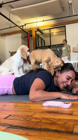 🐶 yoga @Puppy Sphere 🤍 #nyc #thingstodoinnyc 