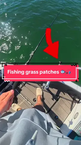 I Hooked a FISH 🐟🎣 #fishing #fishingvideos #capcut 