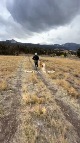 running down the mountain with my two boys ⛰️ #camping #campinglife #dogtok #wyoming 