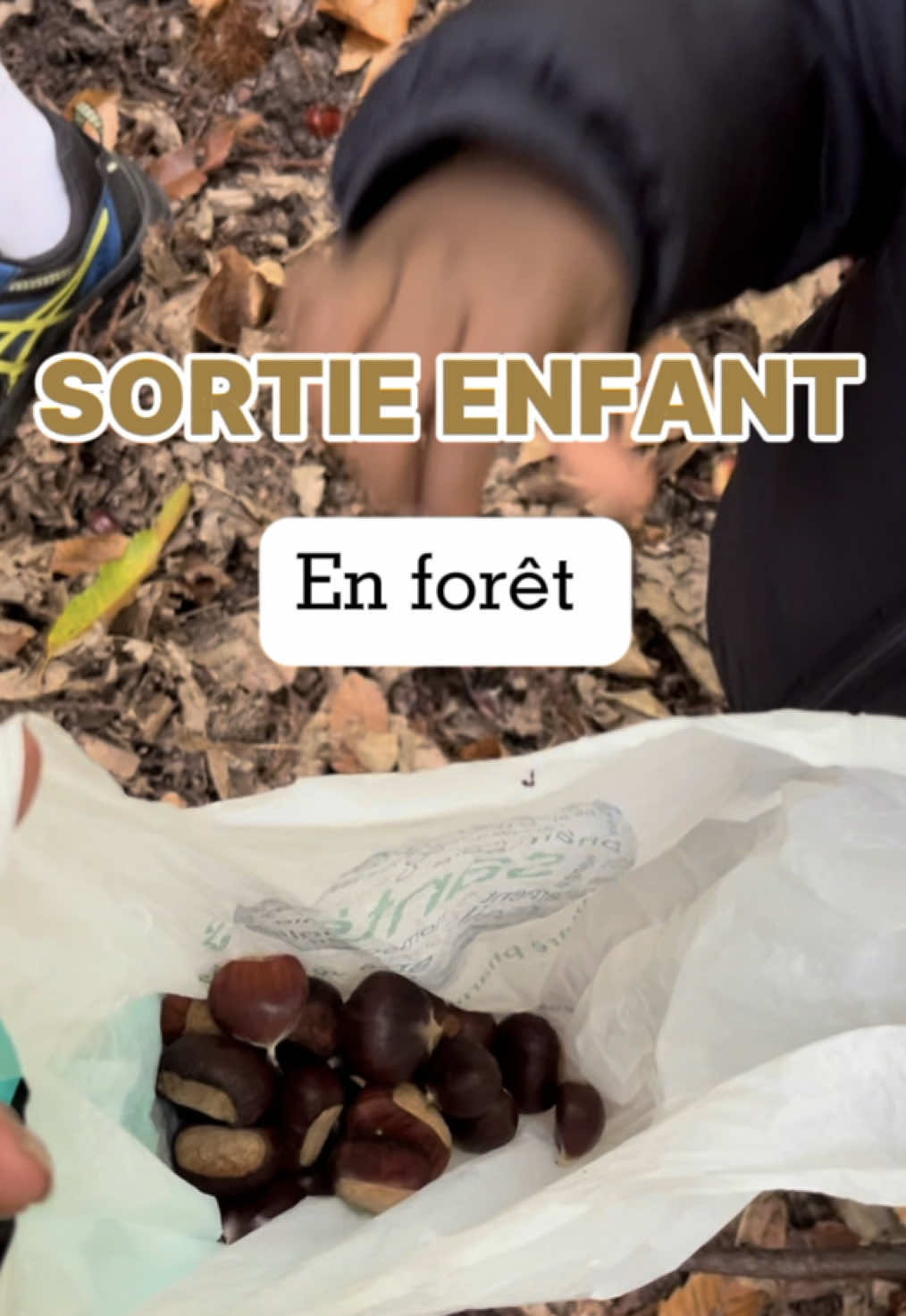 Activité gratuite pour les enfants ! 🍂 #activiteenfant #ugcvideo #foret #ugcfrance #sortie