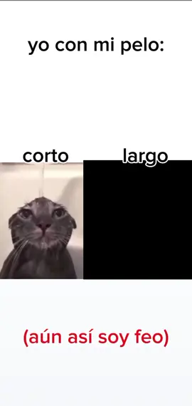 #yo #yuta #edit #fyp #jjk