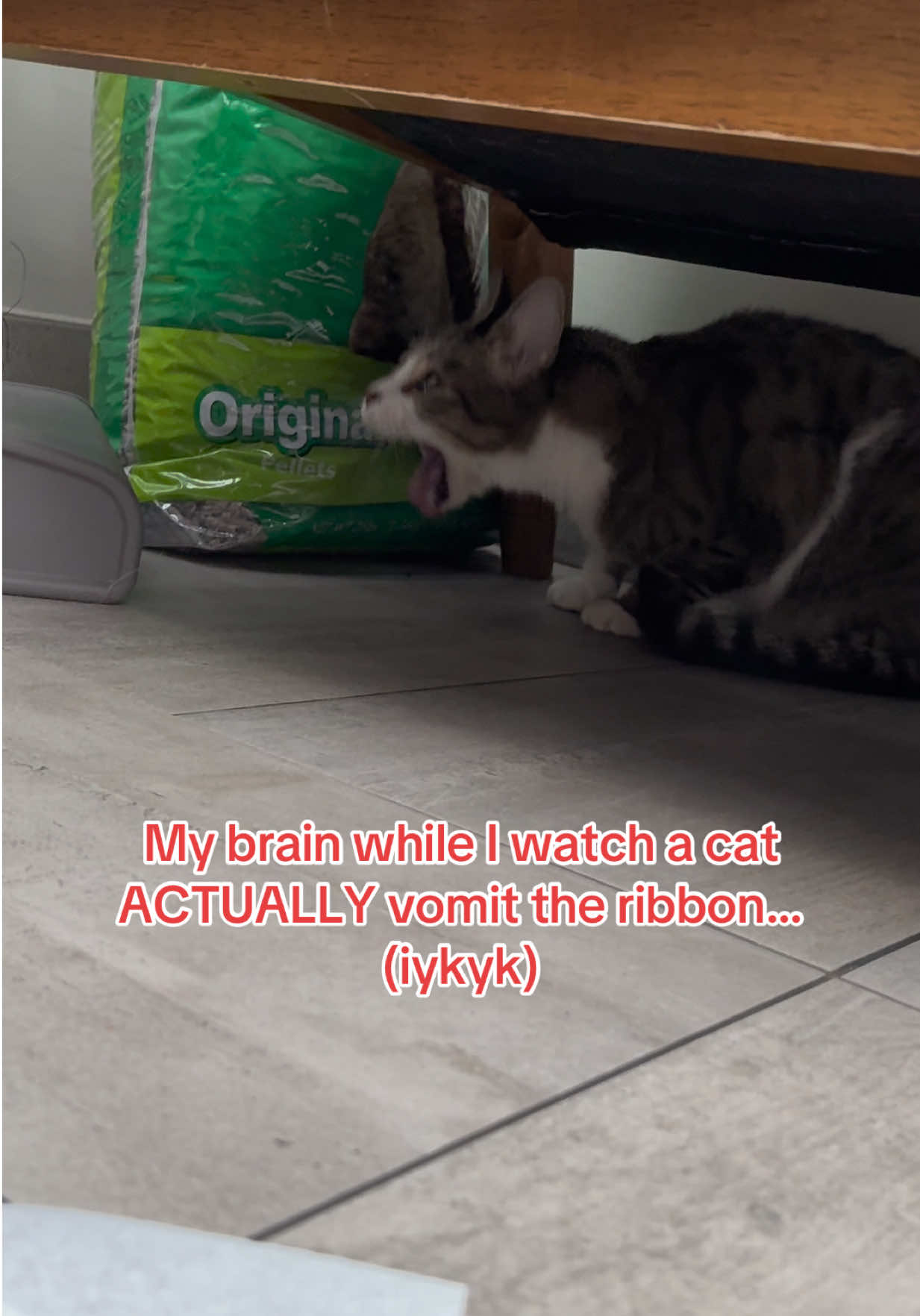 IYKYK this is the best feeling in vet med 🤩 #emergency #veterinarian #foryou #vetlife 