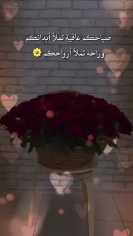 #في هذا اليوم 