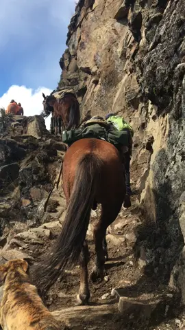 Desde Yanama, Santa Teresa emprendimos el camino por la nueva ruta más corta hacia Choquequirao. Entre montañas, viento y polvo, los caballos avanzan rumbo a la cima. Al llegar, el paisaje nos regala una vista mágica de los nevados que custodian este paraíso. Esto solo es el inicio de la nueva ruta del sol y la montaña por los jardines de Choquequirao. #Chiquequirao #NuevaRuta #Quillabamba #TurismoSostenible #AventuraPeruana #LaConvención #PeruNatural