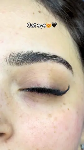 #lashes #lashextensions #duckslashes #explore #fyp 