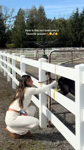 Just posted on i g from this day🤭 the set is on my ig as well:) @Dalton Chandler 