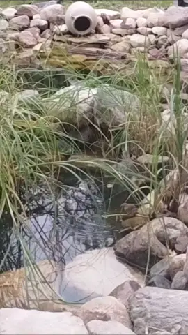 #justgetthroughtoday 
