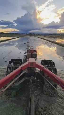 #traktorsawah #petanimuda 