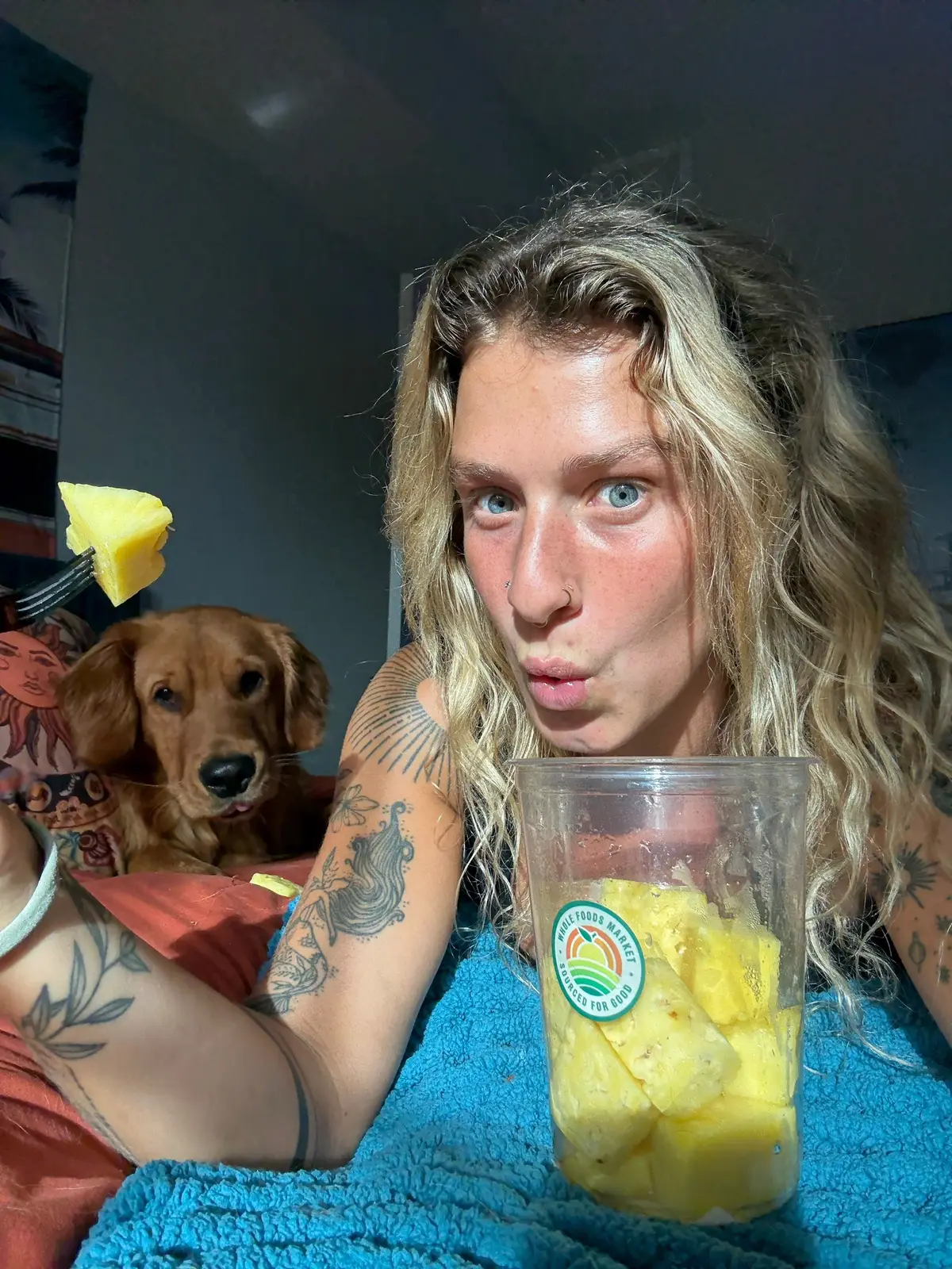 Sunny tied pinapple today #goldenretriever #dogmom #miamibeach #delraybeach 