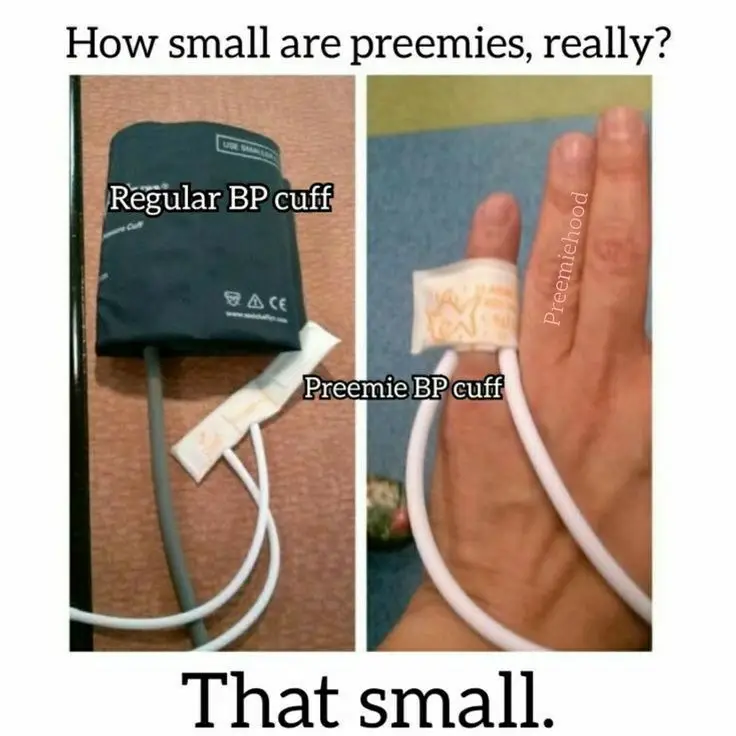 pictures can be on your account for days, and most people still just don't get how small these babies really are. Warriors!! #fyp #preemie #micropreemie #nicu #nicubaby