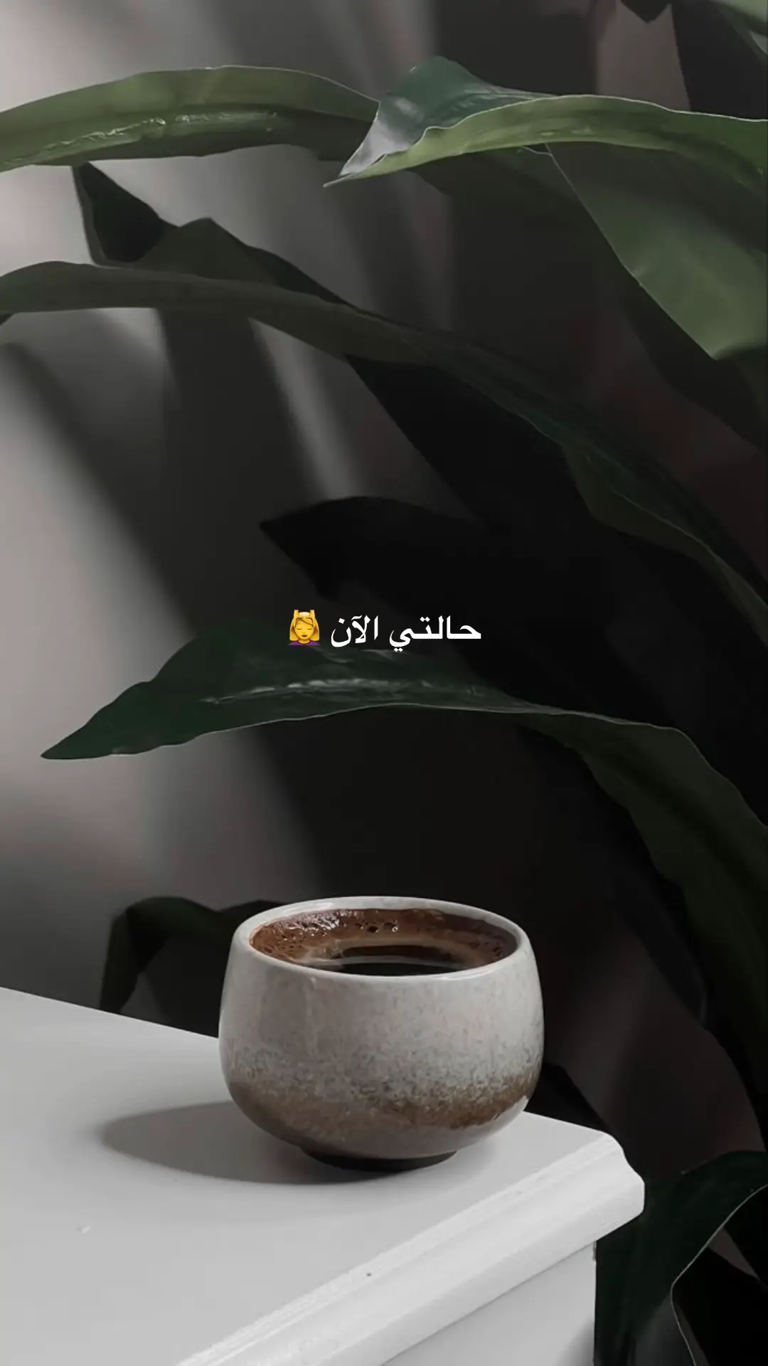 #creatorsearchinsights #اكسبلور #اكسبلورexplore #حالتي_الان #furyou 