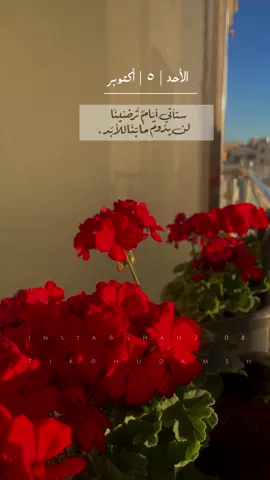 صباح الورد 🤍 #hudamsh #حالات_واتس_اب #ادعية_يومية 
