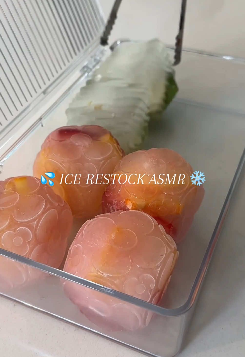 🎧 Satisfying ICE RESTOCK ASMR – Tap to Relax ❄️💦 | Amazon Store in Bio! 🛒 #icerestock #asmrcommunity #satisfyingsounds #asmr #fridgerestock 